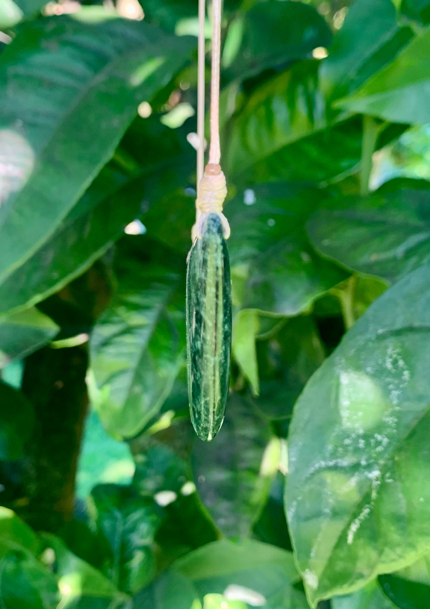 Pounamu Breastplate